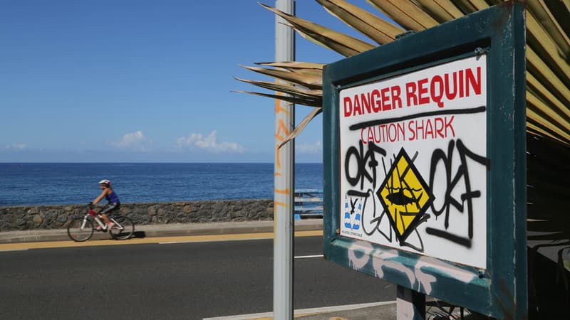 Un arrêté préfectoral interdit la baignade dans sur plusieurs plages de l'île de la Réunion, comme ici à Etang-salé, en raison des requins.