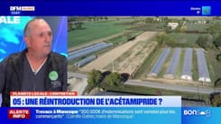 Planète Locale du mercredi 21 mai - 05 : une réintroduction de l'Acétamipride ?