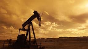 Face aux incertitudes économiques causées par l'épidémie du nouveau coronavirus, les ministres du cartel pétrolier avaient tenté de conclure un accord avec les autres pays producteurs de pétrole pour réduire la production et maintenir les prix du brut.