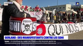 A Lyon, une centaine de personnes manifestent contre l'utilisation de certains fongicides