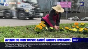 Strasbourg: un SOS en fleurs lancé par des riverains avenue du Rhin