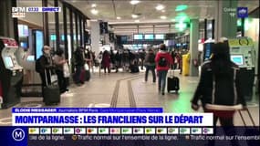 Montparnasse: les Franciliens sur le départ