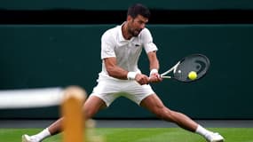 N. Djokovic