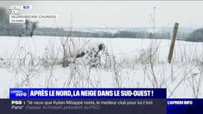 Calvados, Gironde, Grand Est: tour d'horizon de la neige en France
