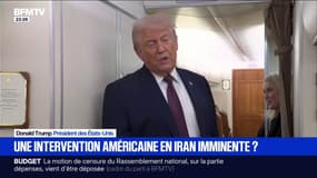 Donald Trump a déclaré que "beaucoup de navires" se dirigeaient vers l'Iran "au cas où"