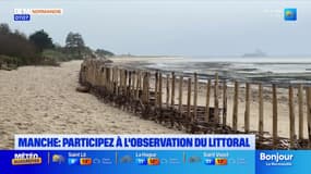 Manche: participez à l'observation du littoral en envoyant vos photos aux scientifiques