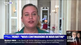Loi immigration rejetée: "Nous continuerons de nous battre", déclare Mathilde Panot