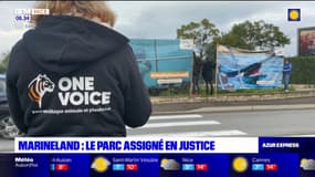 Antibes: l'association "One Voice" obtient l'assignation en justice de Marineland