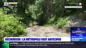 Marseille: la métropole souhaite anticiper les épisodes de sécheresse