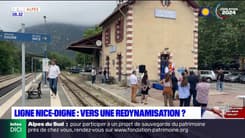 Ligne Nice-Digne: vers une redynamisation?