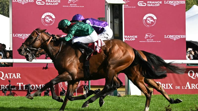 Daryz sacré dans le Qatar Prix de l'Arc de Triomphe 2025