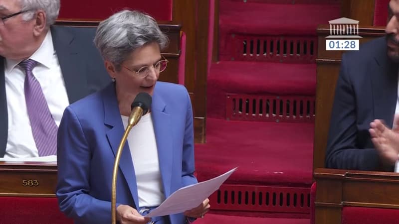 En réponse à la liste des policiers morts en service réalisée par Gérald Darmanin à l'Assemblée, Sandrine Rousseau énumère 