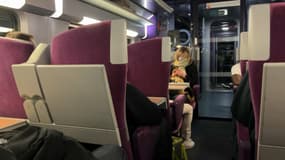 Des passagers du TGV Tours-Paris 