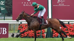 Vadeni est l'un des meilleurs espoirs français au départ du Qatar Prix de l'Arc de Triomphe