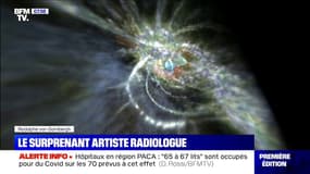 De radiologue à artiste, Rodolphe von Gombergh expose ses œuvres surprenantes à "Art Paris"