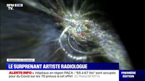 De radiologue à artiste, Rodolphe von Gombergh expose ses œuvres surprenantes à "Art Paris"