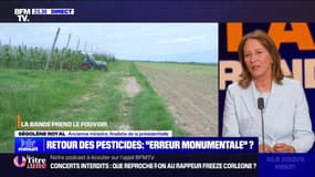 Retour des pesticides : "erreur monumentale" ? - 15/02