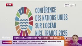 L’ONU réunit 51 chefs d’État à Nice pour sauver les océans et la haute mer