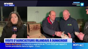Des agriculteurs irlandais à Dunkerque