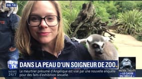 Dans la peau d'un soigneur de zoo