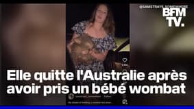  Australie: critiquée pour avoir pris un bébé wombat à sa mère, l'influenceuse américaine a quitté le pays 