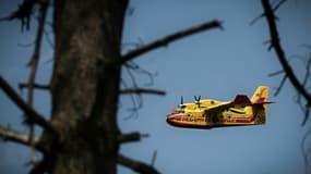 Un Canadair passe au-dessus de la forêt dévastée par les flammes au Pyla-sur-Mer, en Gironde, le 19 juillet 2022