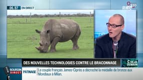 La chronique d'Anthony Morel : Des nouvelles technologies contre le braconnage - 23/03