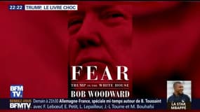 "Fear", le livre qui étrille Donald Trump