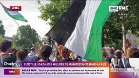 Arraisonnement du Madleen: la rue française en soutien à Gaza