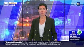 Arles: une femme blessée par balles dimanche, deux hommes interpellés