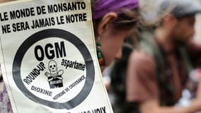 Une affiche conçue pour la manifestation contre Monsanto samedi 23 mai à Toulouse. 
