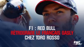 F1 : Red Bull rétrograde le Français Gasly chez Toro Rosso