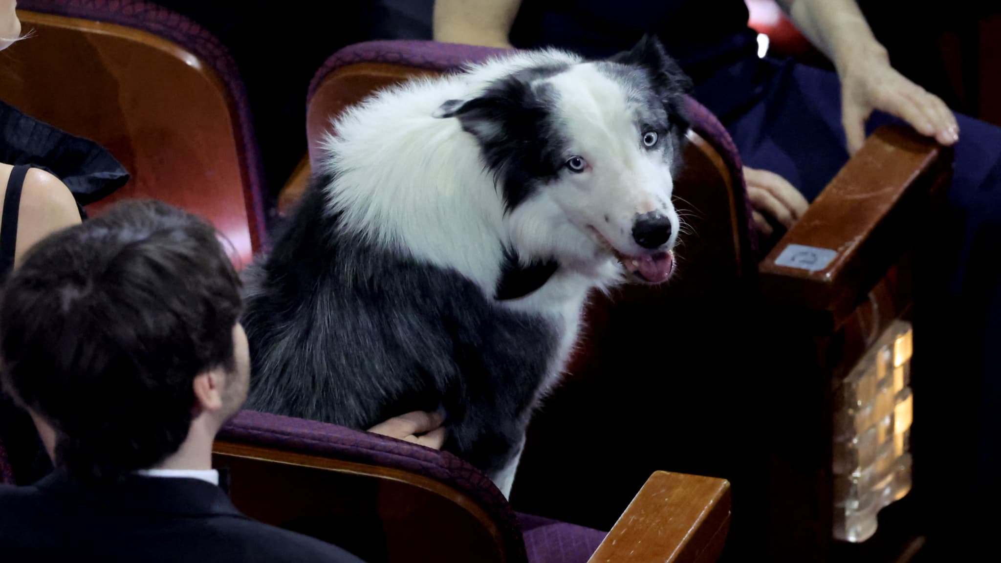 Messi, à la cérémonie des Oscars le 10 mars 2024