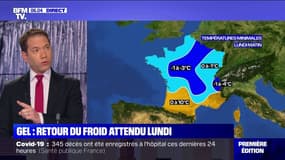 Un retour du gel et du froid attendu en début de semaine prochaine