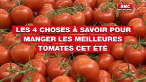 Les 4 choses à savoir pour manger les meilleures tomates cet été