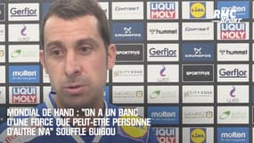 Mondial de hand : "On a un banc d'une force que peut-être personne d'autre n'a" souffle Guigou