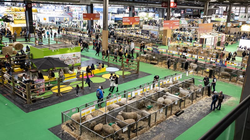 "On sait que le visiteur vient voir l'égérie et les vaches": l'absence de bovins fait chuter de 25% la fréquentation du Salon de l'Agriculture les quatre premiers jours