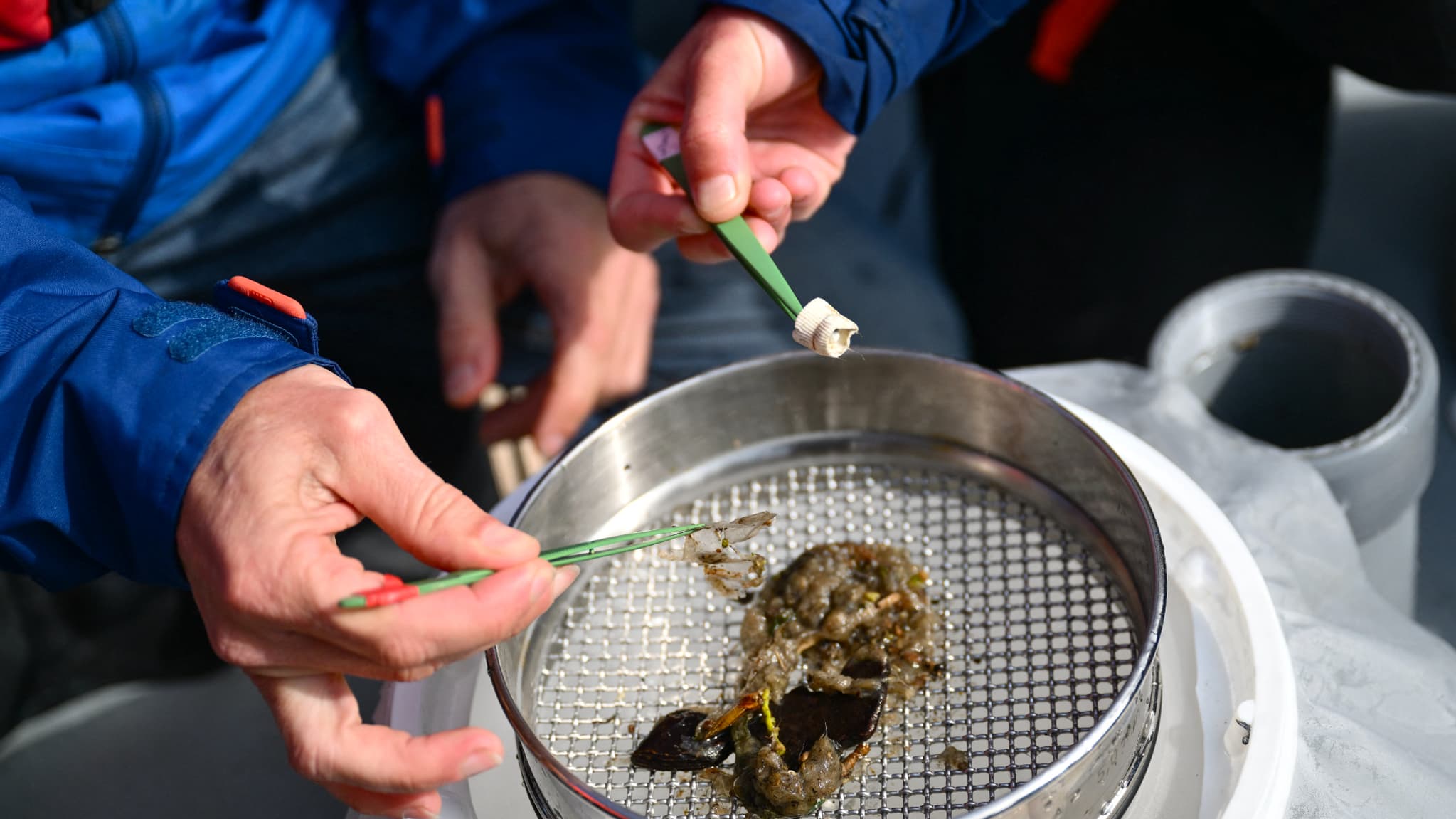 Des chercheurs du CNRS inspectent des morceaux de microplastiques prélevés dans le Rhône à Arles, dans le sud de la France, le 10 avril dernier. Des chercheurs du CNRS inspectent des morceaux de microplastiques prélevés dans le Rhône à Arles, dans le sud de la France, le 10 avril dernier.
