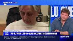 "Immature", "égocentrique", "isolée", "introvertie"... Ce qu'a décelé Mickaël Morlet-Rivelli après avoir expertisé Monique Olivier 
