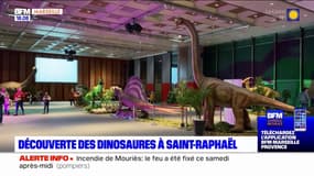 Saint-Raphaël: à la découverte des dinosaures au Palais des Congrès