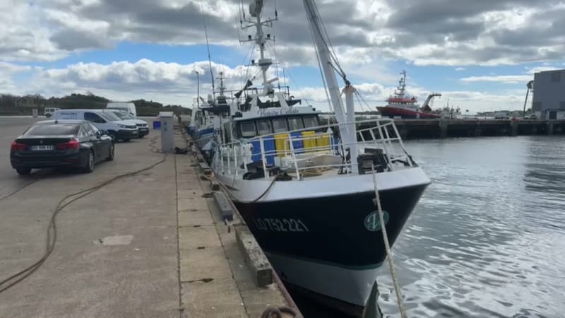"Le point de rupture est atteint": face à la flambée du carburant, des pêcheurs préférent rester à quai