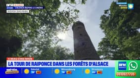 C'est beau chez nous: la tour de "Raiponce" dans les forêts d'Alsace