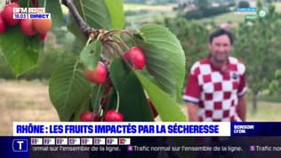 Rhône : les fruits impactés par la sécheresse