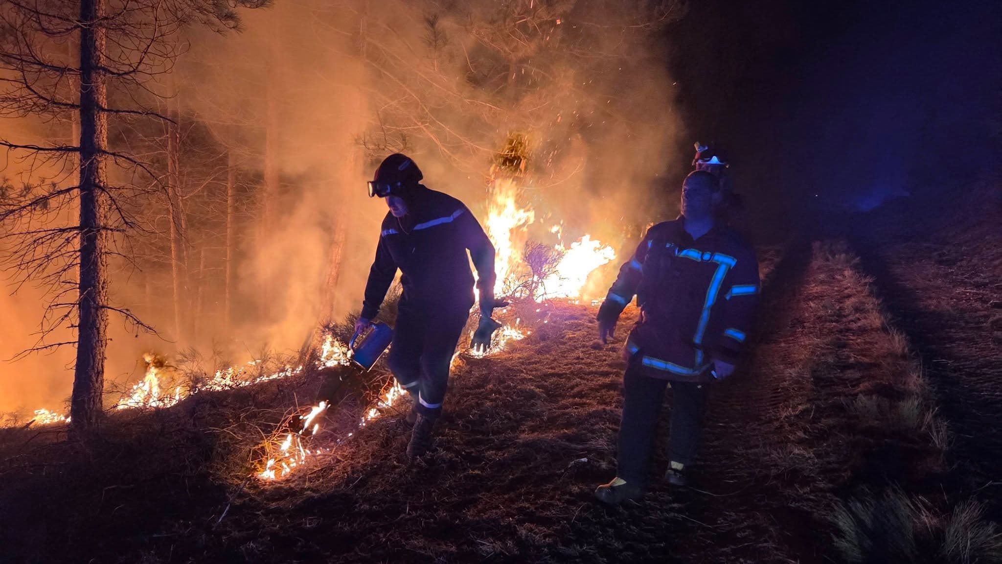 Un pompier brûle préventivement un secteur pour stopper la progression du feu de forêt