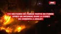 100 hectares de pinède partis en fumée après un incendie dans la forêt de Chiberta à Anglet