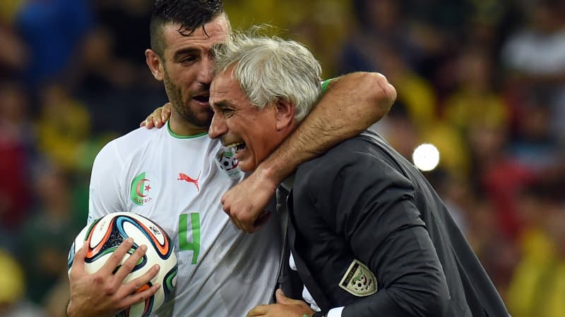 Vahid Halilhodzic Vahid Halilhodzic