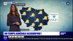Beaucoup de soleil dans la matinée ce mardi en Ile-de-France, des averses et des nuages prévus dans l'après-midi, jusqu'à 12°C à Paris