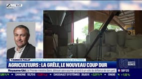 Yannick Fialip (FNSEA ) : La grêle, le nouveau coup dur pour les agriculteurs - 06/06