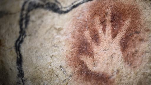 Une peinture rupestre dans la grotte Chauvet, en France. Celle-ci n'était pas habitée à la même période que la grotte des Pigeons, au Maroc.