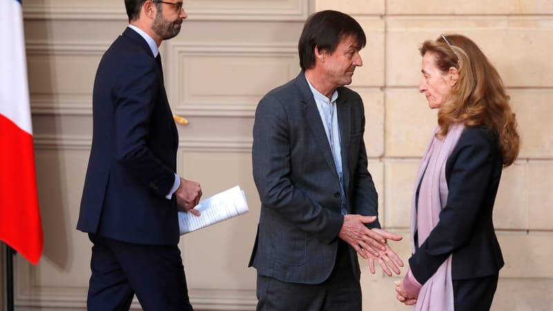 Nicolas Hulot, après l'annonce de l'abandon du projet de Notre-Dame-des-Landes le 17 janvier 2018